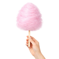 Fairy Floss Sticks